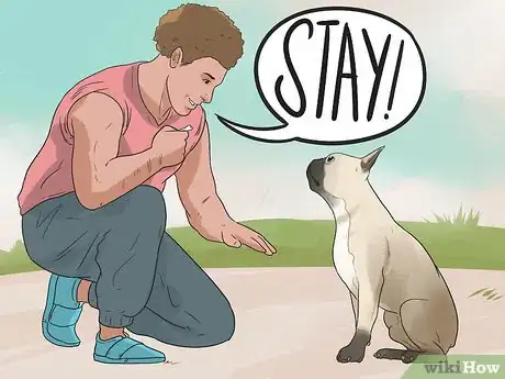 Image intitulée Train Your Dog to Not Run Away Step 10