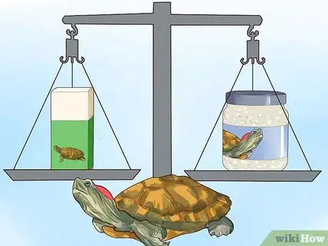 Image intitulée Know What to Feed a Turtle Step 4