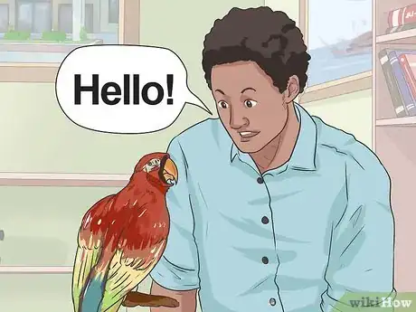 Image intitulée Teach Your Bird to Talk Step 4