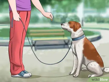 Image intitulée Teach Your Dog to Speak Step 9