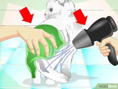 Image intitulée Clean a Cat's Fur Step 5