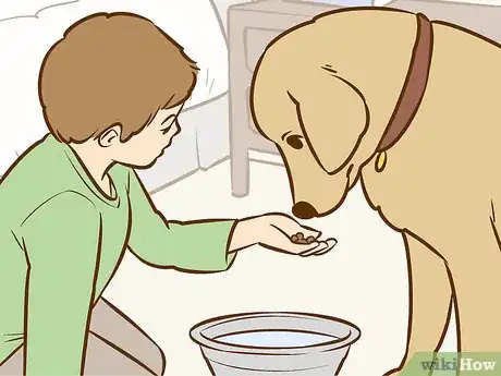 Image intitulée Persuade Your Parents to Get a Dog Step 12