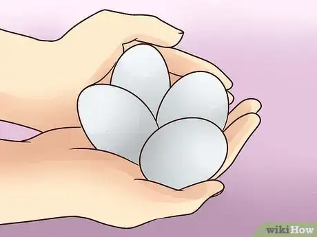 Image intitulée Pasteurize Eggs Step 8