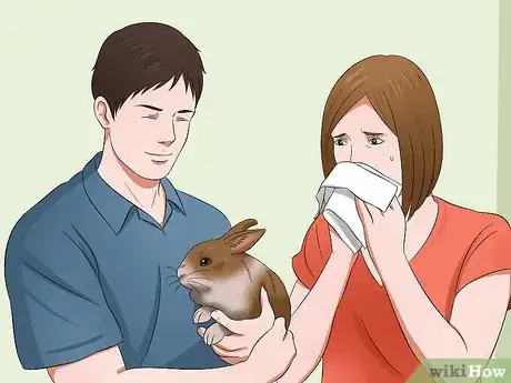 Image intitulée Buy a Rabbit Step 14