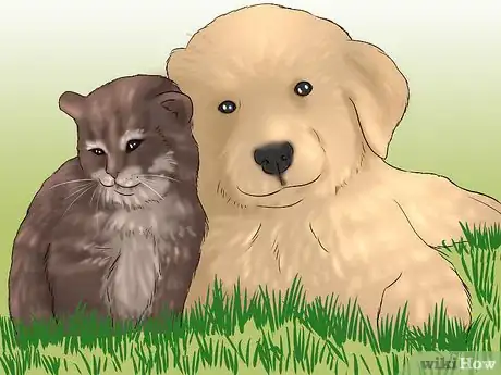 Image intitulée Make Your Dog Like Your Cat Step 5