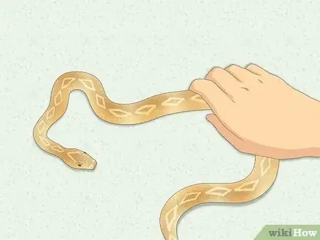 Image intitulée Hold a Snake Step 11