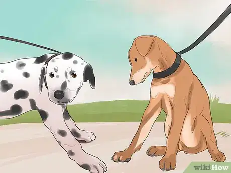 Image intitulée Train Your Dog to Not Run Away Step 19