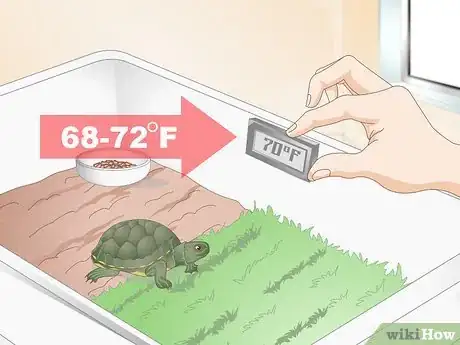 Image intitulée Feed Your Turtle if It is Refusing to Eat Step 1