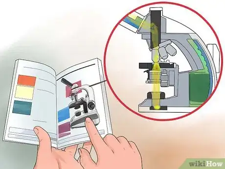 Image intitulée Use a Compound Microscope Step 6