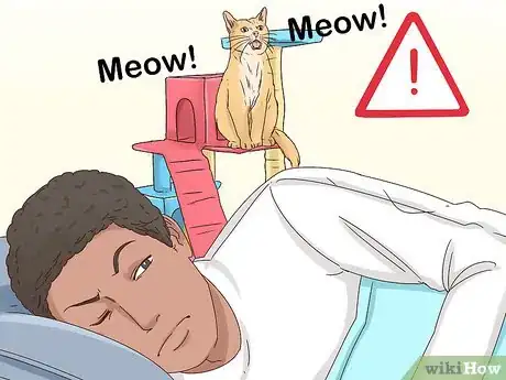 Image intitulée Get Your Cat to Sleep With You Step 10
