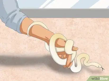 Image intitulée Hold a Snake Step 14