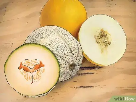 Image intitulée Grow Cantaloupe Step 1