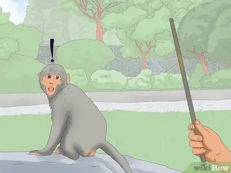 Image intitulée Repel Monkeys from Residential Areas Step 7