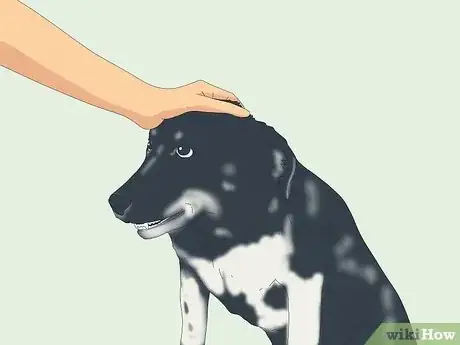 Image intitulée Pet a Dog Step 10