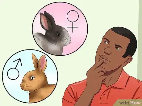 Image intitulée Buy a Rabbit Step 13