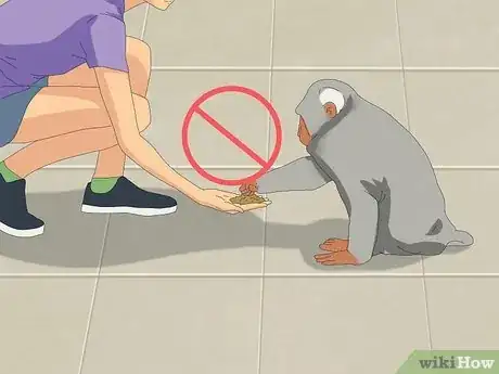 Image intitulée Repel Monkeys from Residential Areas Step 2