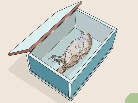 Image intitulée Bury a Dead Bird Step 2