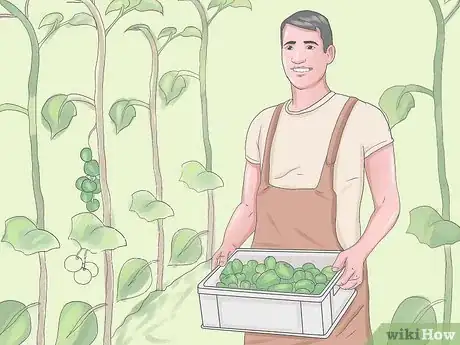 Image intitulée Become a Farmer Without Experience Step 14