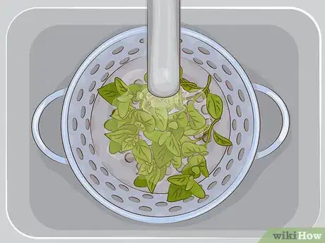 Image intitulée Use Oregano in Cooking Step 1
