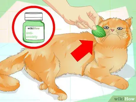 Image intitulée Prevent a Cat from Spraying Step 3