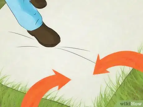 Image intitulée Take Care of a Grasshopper Step 3