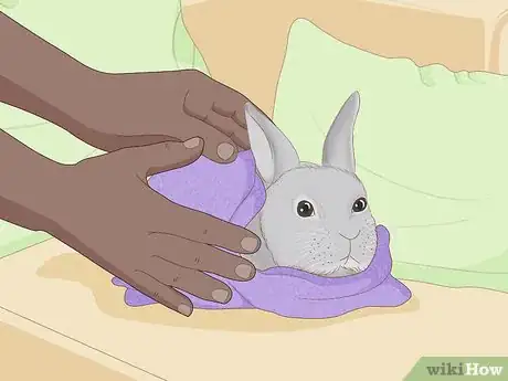 Image intitulée Care for an Injured Rabbit Step 5