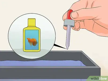 Image intitulée Cure Betta Fish Diseases Step 12