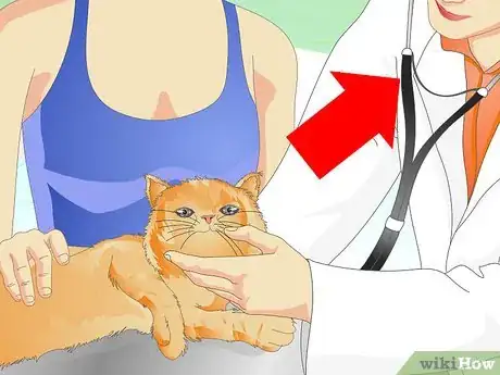 Image intitulée Prevent a Cat from Spraying Step 10