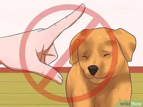 Image intitulée Get Your Puppy to Stop Biting Step 16