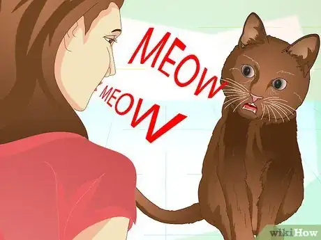 Image intitulée Teach Your Cat to Do Tricks Step 15