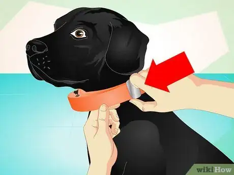 Image intitulée Use an Electronic Dog Training Collar Step 3