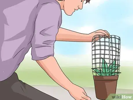 Image intitulée Stop Your Dog from Eating Your Plants Step 10