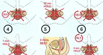 renforcer le muscle pubo coccygien