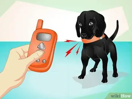 Image intitulée Use an Electronic Dog Training Collar Step 5
