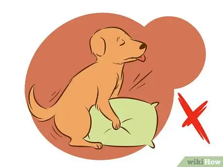Image intitulée Stop a Dog from Humping Step 11