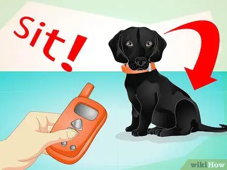 Image intitulée Use an Electronic Dog Training Collar Step 6