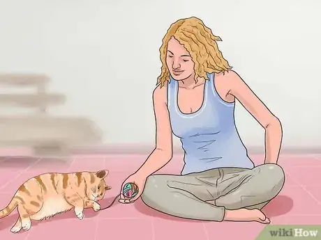 Image intitulée Stop a Cat from Biting and Scratching Step 9