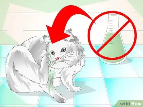 Image intitulée Clean a Cat's Fur Step 10