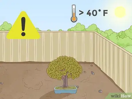 Image intitulée Grow and Care for a Bonsai Tree Step 7