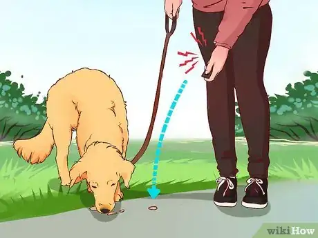 Image intitulée Stop a Dog from Pulling on Its Leash Step 8