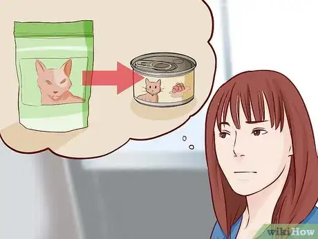 Image intitulée Stop Your Cat's Diarrhea Step 5