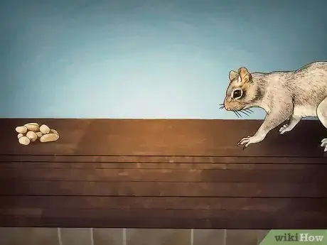 Image intitulée Catch a Squirrel Step 5