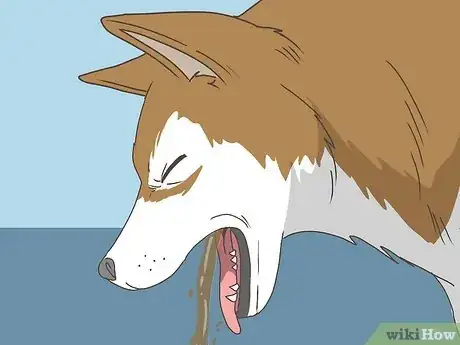 Image intitulée Know When Your Dog is Sick Step 8
