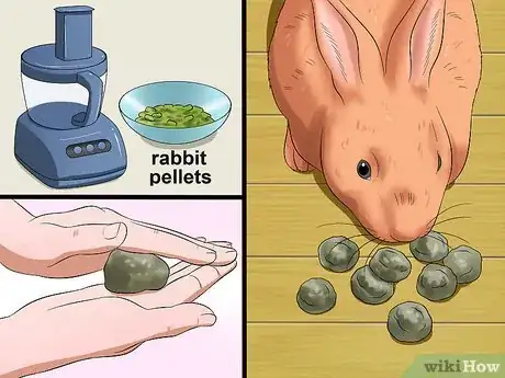 Image intitulée Make Rabbit Treats Step 4