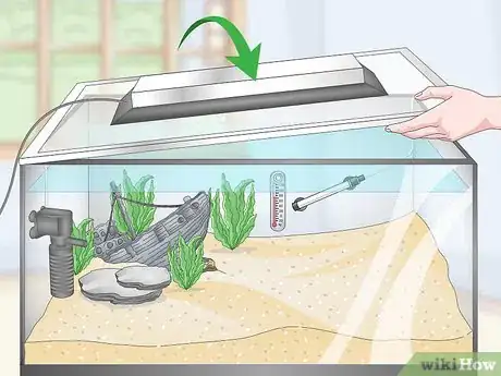 Image intitulée Set up a Tropical Freshwater Aquarium Step 13