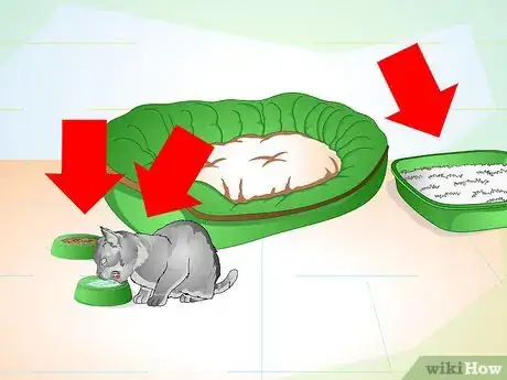 Image intitulée Care for Your Cat After Neutering or Spaying Step 4