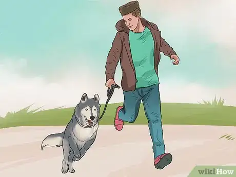 Image intitulée Train Your Dog to Not Run Away Step 20