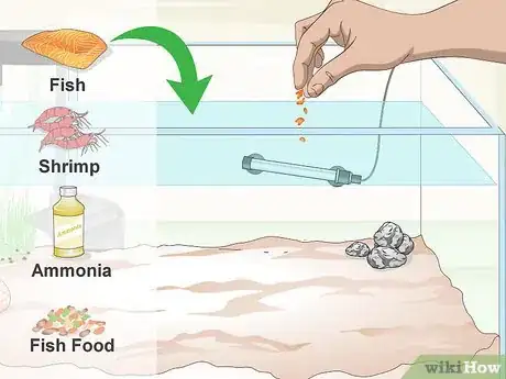 Image intitulée Cycle a Saltwater Tank Step 3