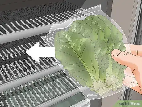 Image intitulée Harvest Romaine Lettuce Step 11