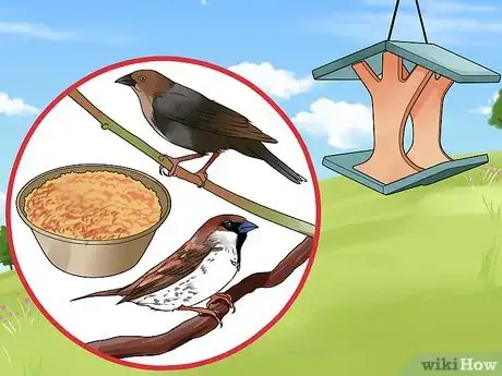Image intitulée Feed Wild Birds Step 15